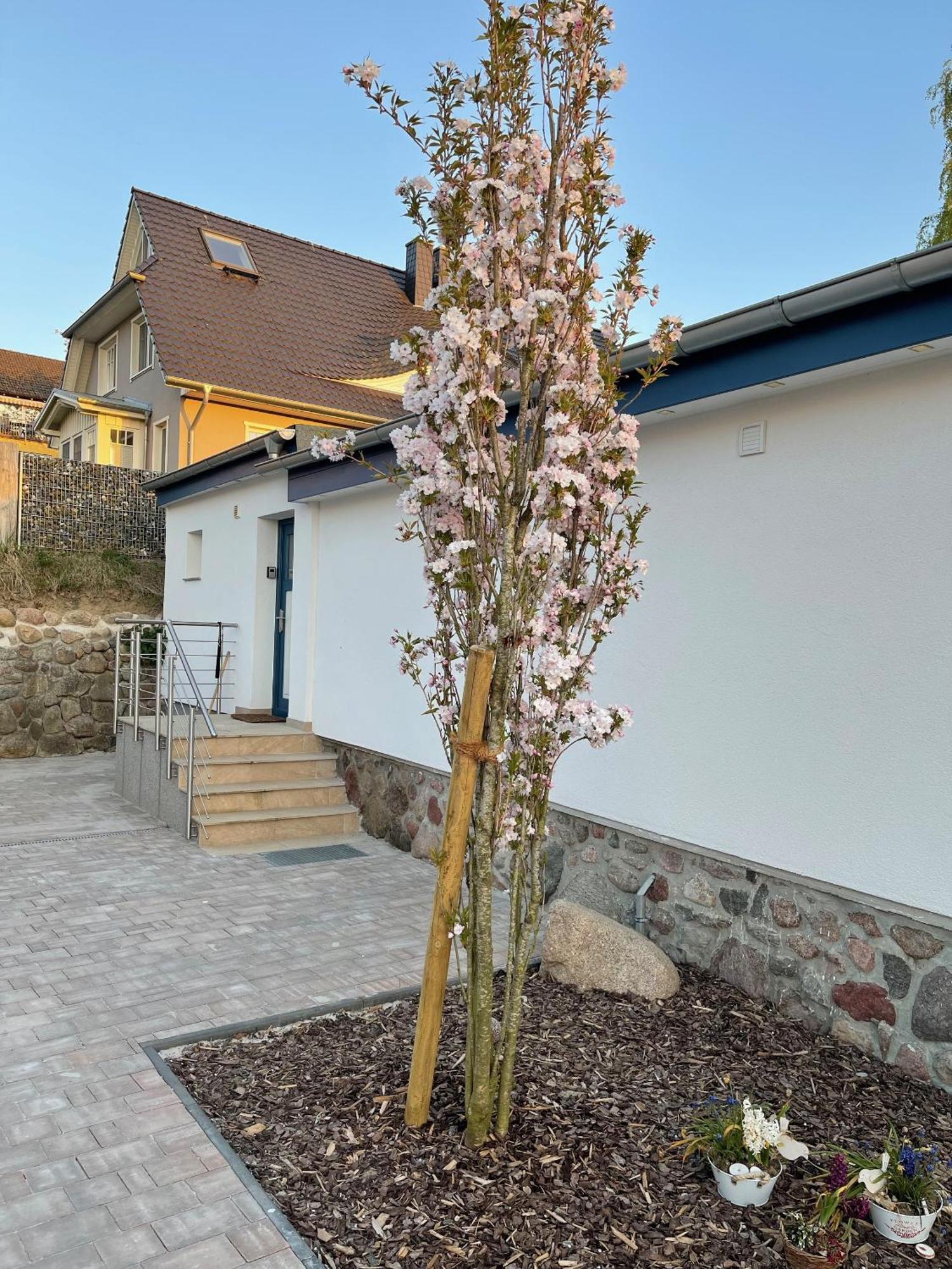 Klein Aber Fein Mitten In * Ostseebad Binz